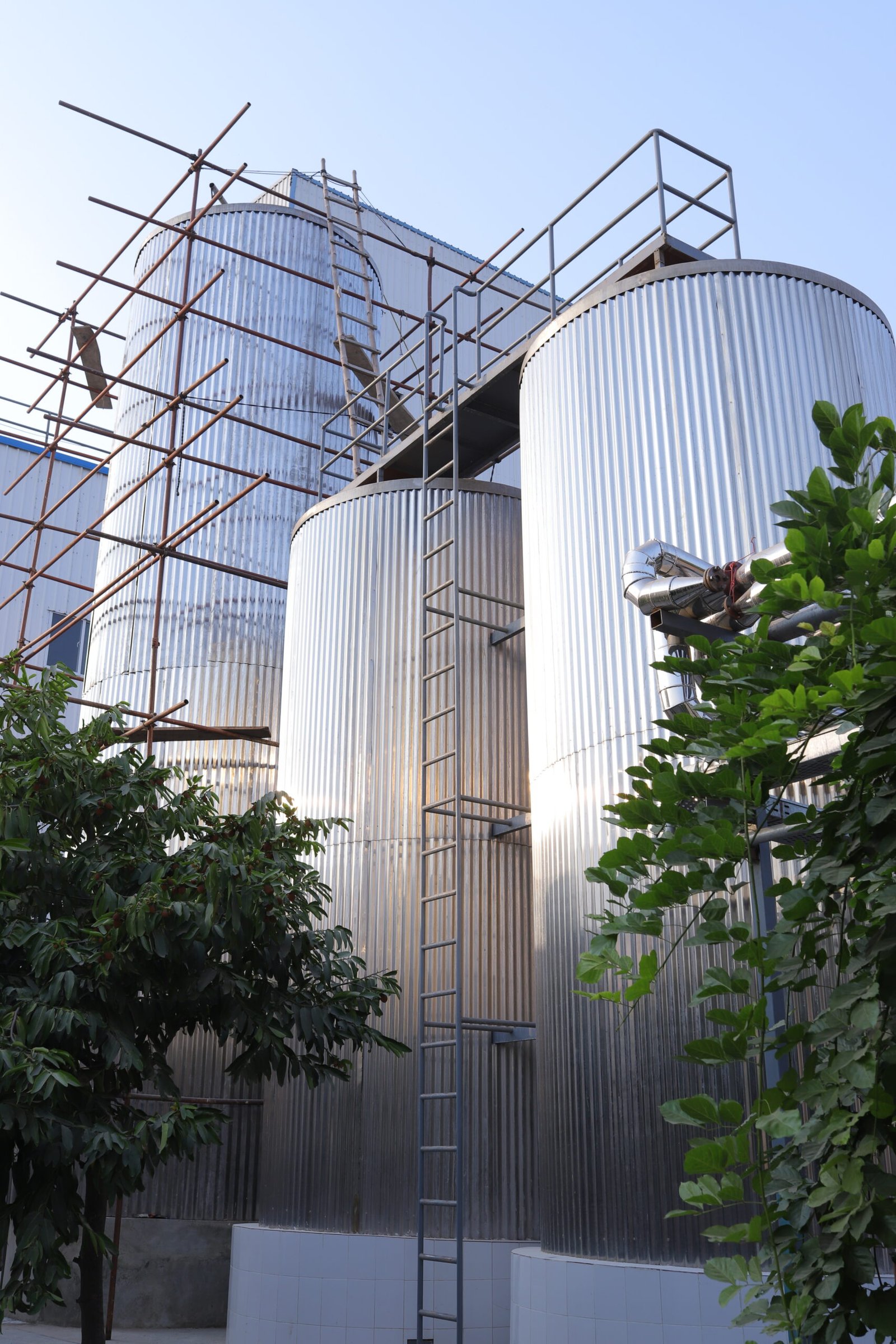 Bursa Dairies Production Facility